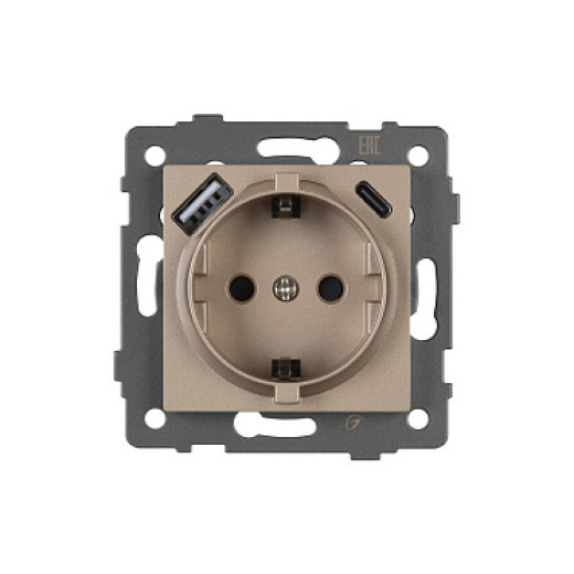 Arlight Механизм розетки с USB зарядкой SCT-MUAA-PL-GD-V (250V, 16A) (-)