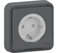 Schneider Electric Mureva Styl внутр Антрацит Розетка с/з и шторками, IP55