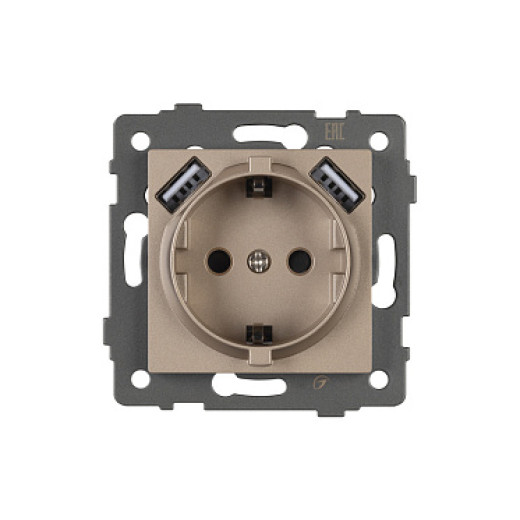 Arlight Механизм розетки с USB зарядкой SCT-MUAA-PL-GD-V (250V, 16A) (-)