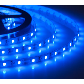 Лента светодиодная ELF 300SMD диодов (2835), 12В, 5м, синяя