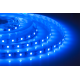 Лента светодиодная герметичная ELF GERMES, 300SMD (2835), 12В, IP65, 5м, синяя