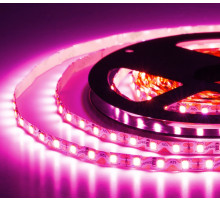 Лента светодиодная ELF, 480SMD (2835), 12В, 120град, 5м, розовая