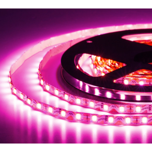 Лента светодиодная ELF, 480SMD (2835), 12В, 120град, 5м, розовая