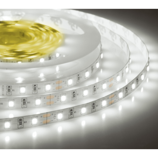 Лента светодиодная ELF 300SMD диодов (2835), 12В, 5м без пайки, белый 6500-7000К