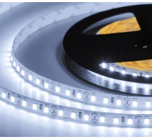 Лента светодиодная 600SMD диодов (2835) тип В, 12В, 5м, холодный белый
