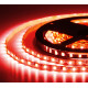 Лента светодиодная ELF, 480SMD (2835), 12В, 120град, 5м, красная