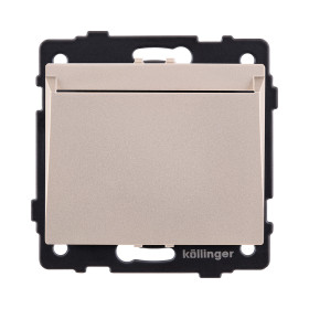 Карточный выключатель механический, золотой Kollinger REA-041GD для Aspekt, Eleganz, Reflex