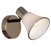 Бра  05901-0.8-01 BK+FGD