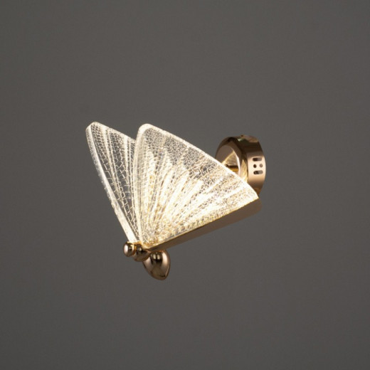 Бра O-LUCE Amelis 11529811