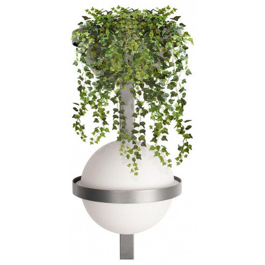 Бра Loft it Jardin 10121W/B Dark grey