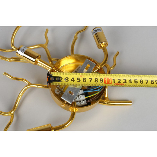 Бра Aployt Viktorayn APL.844.01.03