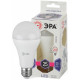 Лампа светодиодная Эра Стандарт E27 25Вт 6000K LED A65-25W-860-E27