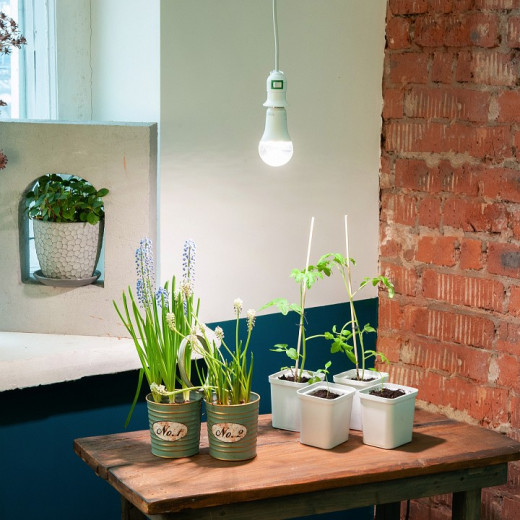 Лампа светодиодная Uniel  E27 15Вт K UL-00007405