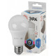 Лампа светодиодная Эра Стандарт E27 17Вт 4000K LED A60-17W-840-E27