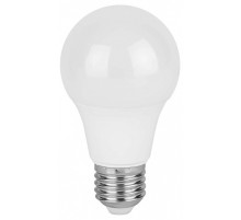 Лампа светодиодная Эра  E27 8Вт 6500K LED A55-8W-865-E27 R