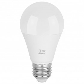 Лампа светодиодная Эра Green Line E27 20Вт 3000K LED A60-20W-830-E27 GL