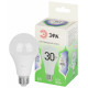 Лампа светодиодная Эра Green Line E27 30Вт 6500K LED A65-30W-865-E27 GL