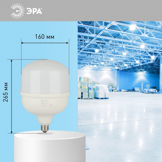Лампа светодиодная Эра Стандарт E27/E40 100Вт 6500K LED POWER T160-100W-6500-E27/E40
