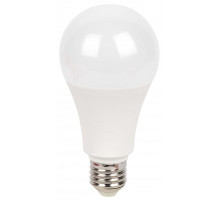 Лампа светодиодная Эра  E27 30Вт 6500K LED A70-30W-865-E27 R