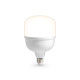 Лампа светодиодная Ambrella Light E27-E40 E27, E40 50Вт 4000K 1205004
