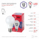 Лампа светодиодная Эра  E27 12Вт 6500K LED A60-12W-865-E27 R