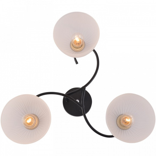 Люстра на штанге 01635-0.3-03 BK+CR