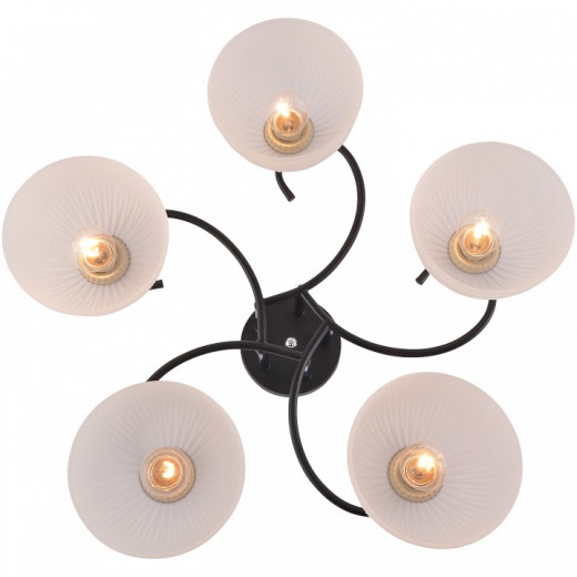 Люстра на штанге 01635-0.3-05 BK+CR