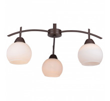 Люстра на штанге TopLight Molly TL3770X-03DB