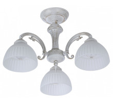 Люстра на штанге  74431-0.3-03