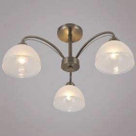 Люстра на штанге  01425-0.3-03 AB
