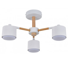 Люстра на штанге Escada  ES0000022L