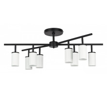 Люстра на штанге Lightstar Rullo LR728368