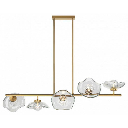 Люстра на штанге Maytoni Miracle MOD207PL-05BS