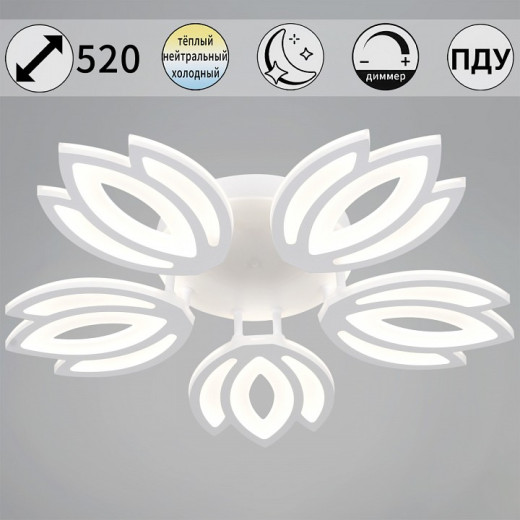 Люстра на штанге  08429-0.3-05 WH