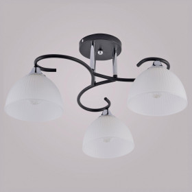 Люстра на штанге 01635-0.3-03 BK+CR