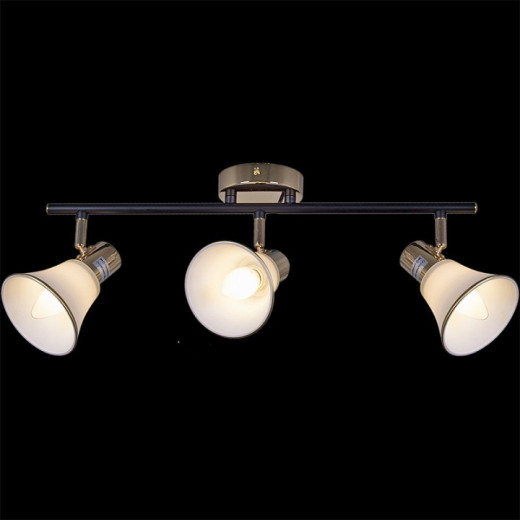 Люстра на штанге  05901-0.8-03 BK+FGD