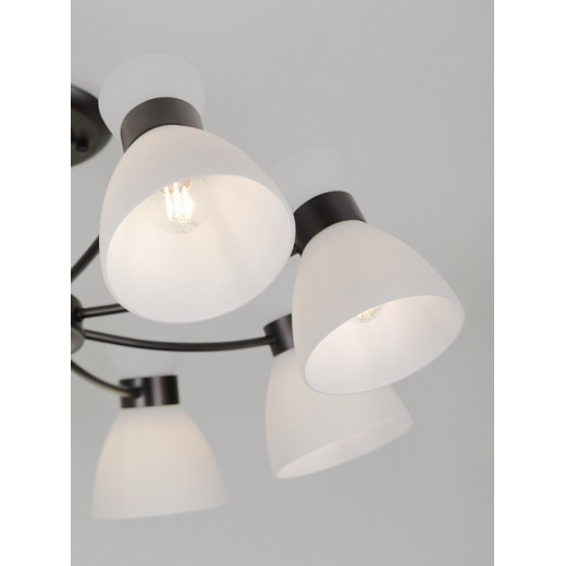 Люстра на штанге Rivoli Aemilia 9185-308