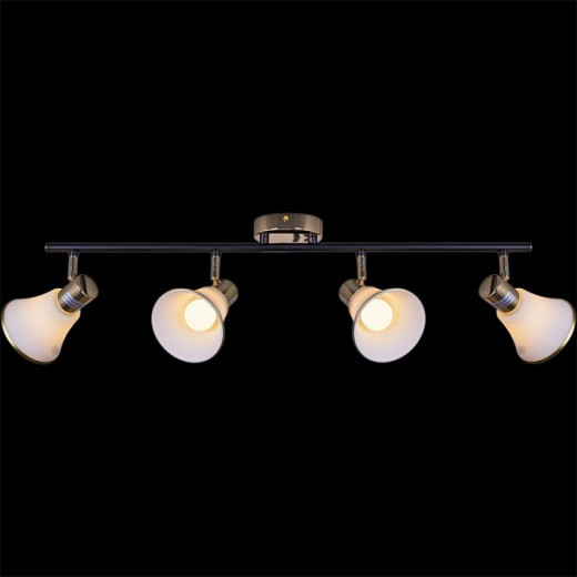 Люстра на штанге  05901-0.8-04 BK+FGD