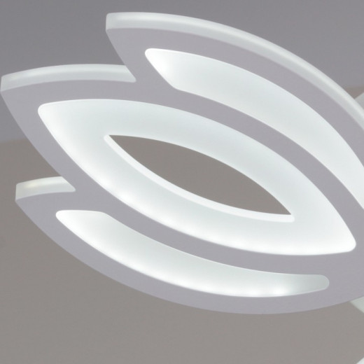 Люстра на штанге  08429-0.3-05 WH