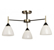 Люстра на штанге De City Дэла 26 116010303