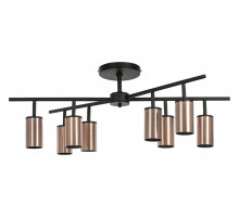 Люстра на штанге Lightstar Rullo LR728308