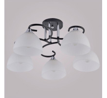 Люстра на штанге 01635-0.3-05 BK+CR