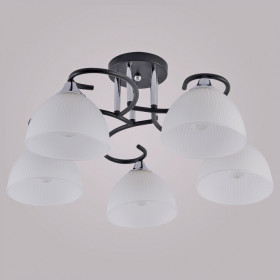 Люстра на штанге 01635-0.3-05 BK+CR