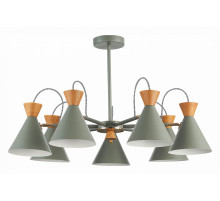 Люстра на штанге EVOLUCE Modica SLE125112-07