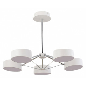 Люстра на штанге EVOLUCE Valle SLE6005-502-05