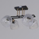 Люстра на штанге ILLUMICO  IL0794-4CSQ-25BKAB ELITE