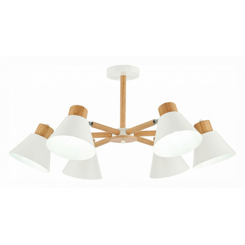 Люстра на штанге EVOLUCE Buve SLE103702-06