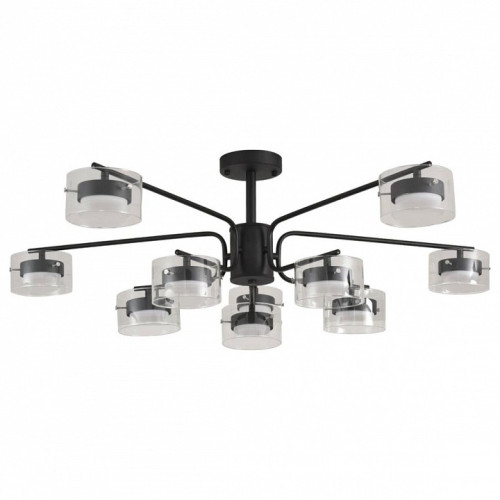 Люстра на штанге Lumion NATALINA 8349/10C