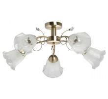 Люстра на штанге De City Флора 25 670011005