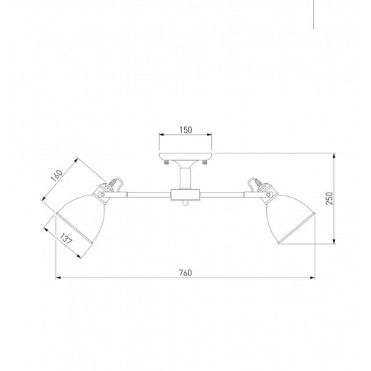 Люстра на штанге Eurosvet Denley 70112/8 черный
